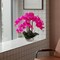3-Pack 20" Fuchsia Phalaenopsis Orchids | Artificial Flowers in Sleek Round White Pots – Vibrant Modern Home & Office Decor